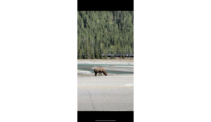 A trip to the mountains -