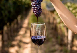 Збираємо українських пань та панянок на одноденну екскурсію