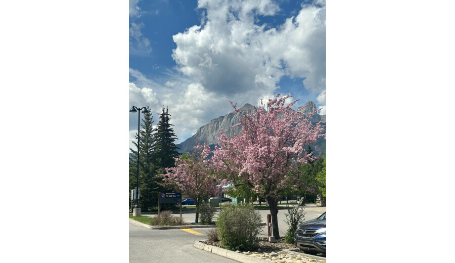 A trip to the mountains -