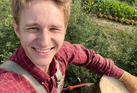 Займаємось деревами