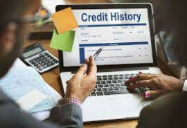 We make a credit history! 