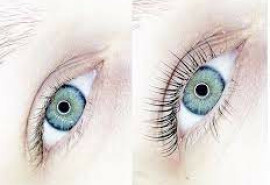 Lamination of eyelashes