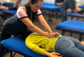​European Massage Therapy School – Estelle Medical Academy оголошує набір на навчання за фахом Massage Therapist