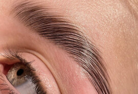 Корекція/фарбування  Ламінування? /Левітаун  Correction eyebrows ?