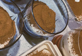 Готую ніжний тірамісу і сирники