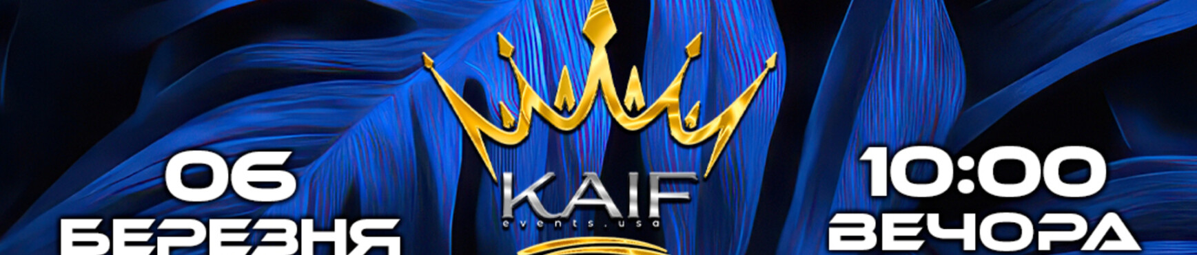 Ukrainian Party in Chicago —  Kalush