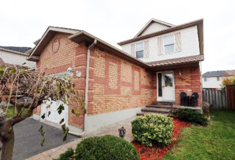 ЗДАЄТЬСЯ квартира-студія бейсмент в Brampton Ontario.