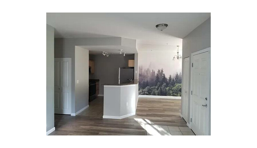 Простора приватна квартира -