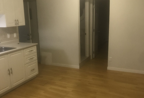 1 bedroom apartment until September