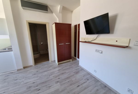 One-room apartment in Prague