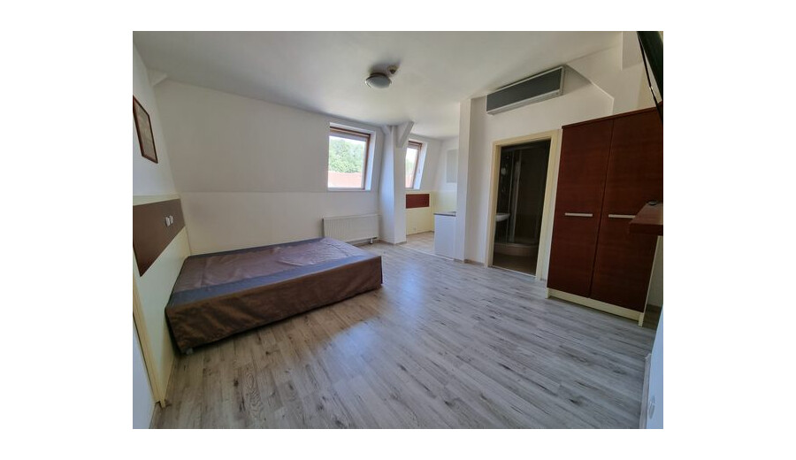 One-room apartment in Prague -