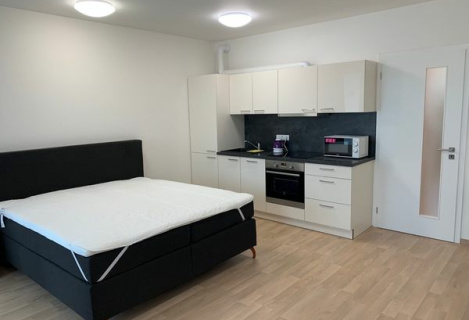 One-room apartment in Prague