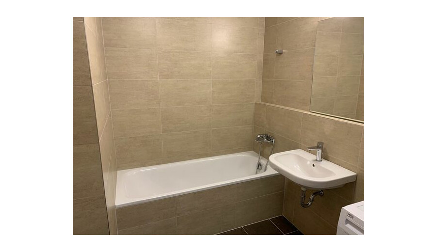 One-room apartment in Prague -