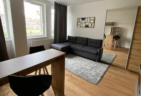 One-room apartment in Prague