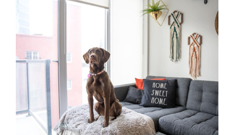 1 bedroom 1 bath apartment available from June 1 - 
