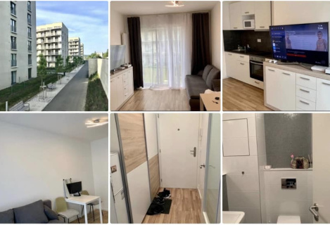 One-room apartment in Prague