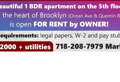1 bdr apartment for rent