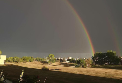 У двокімнатній квартирі в центрі Едмонтона здається кімната