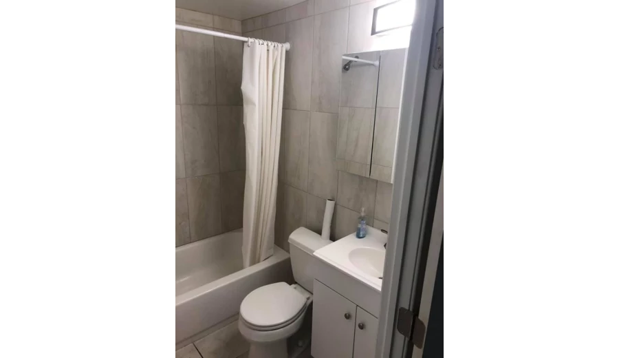 1 Bdr apartment, Duplex - 