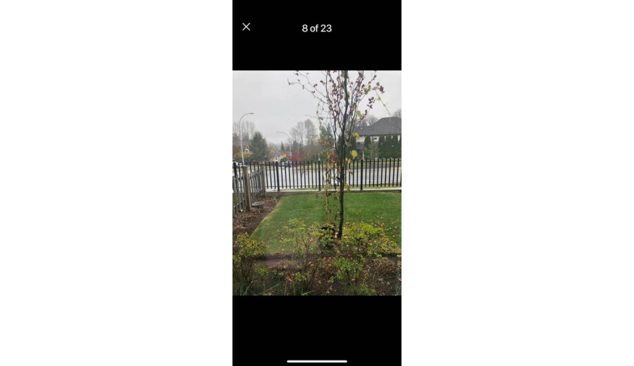 Ян - 