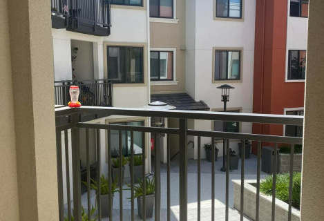 Здається 1кімнатна квартира