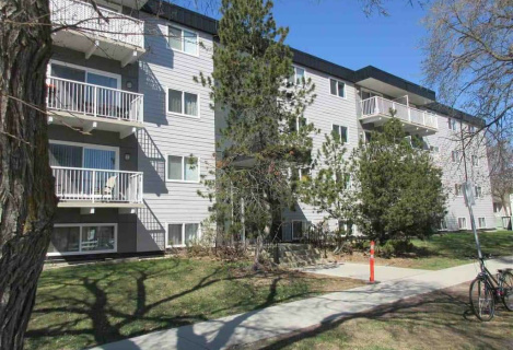 Здається квартира