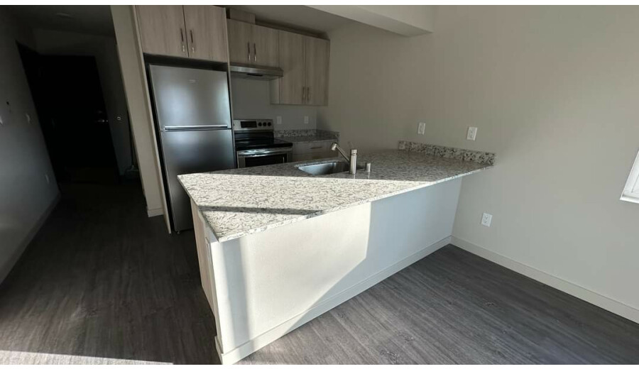 Здається студія -