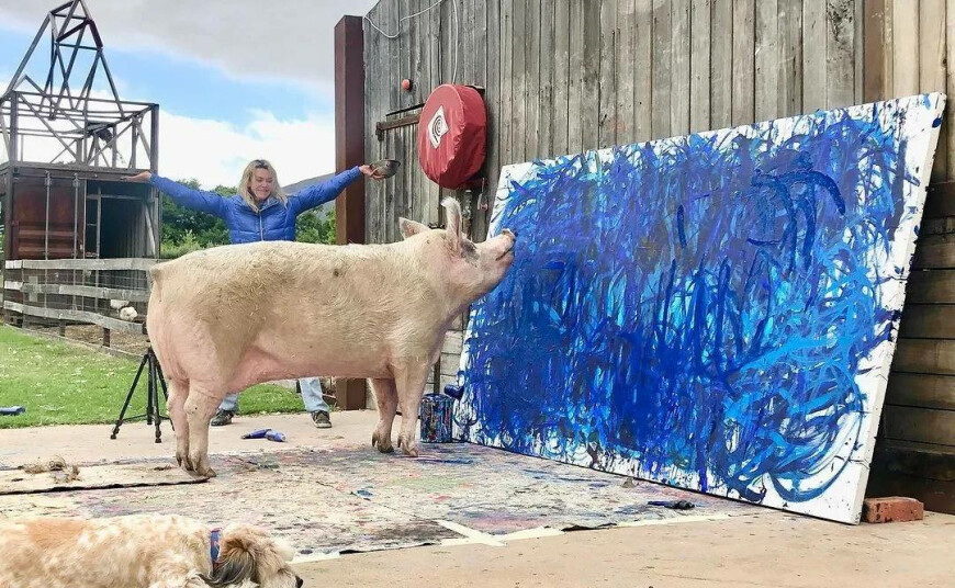 A pig named Piggasso earned more than a million dollars by painting pictures - 