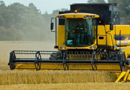 Держдеп: Розрив «зернової угоди» може мати глобальні наслідки