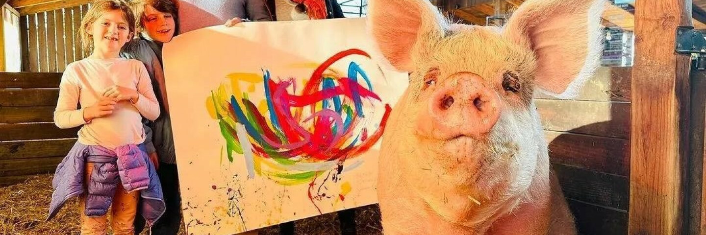 A pig named Piggasso earned more than a million dollars by painting pictures