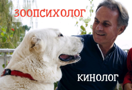 Зоопсихолог, Кінолог, Animal Behaviorist, Dogtrainer