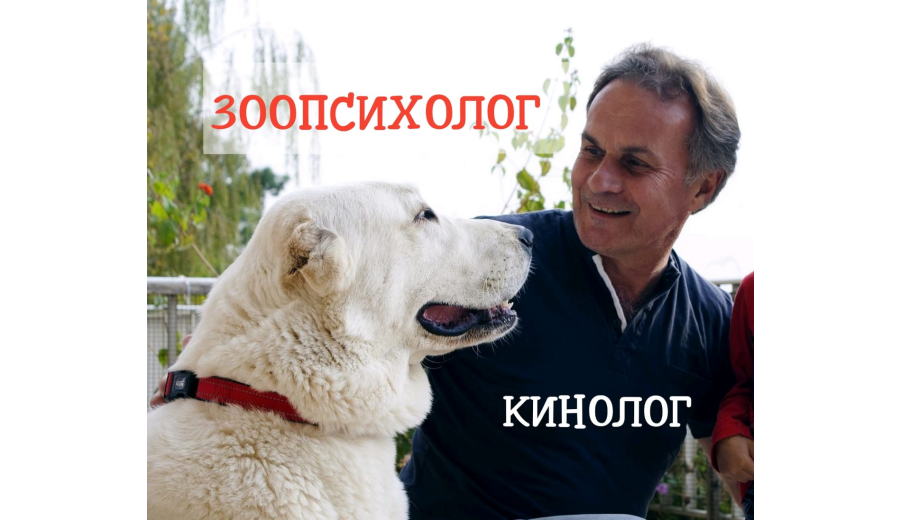 Зоопсихолог, Кінолог, Animal Behaviorist, Dogtrainer - 