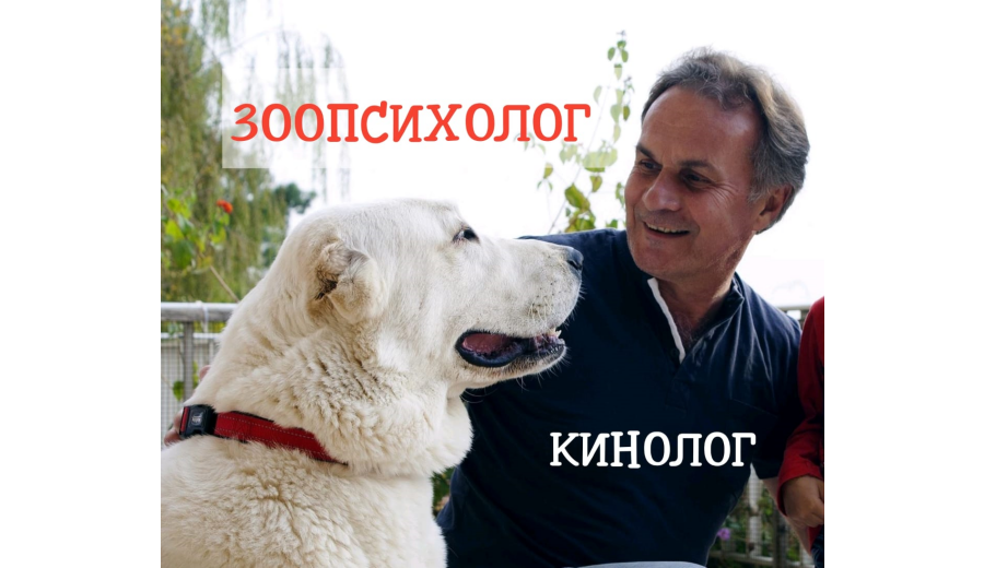 Зоопсихолог, Кінолог, Animal Behaviorist, Dogtrainer -