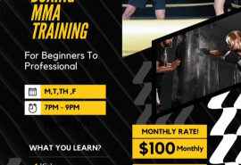 Тренування з боксу, мма