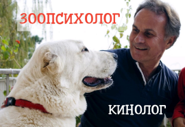 Зоопсихолог, Animal Behaviorist, Dogtrainer, кінолог, дресерувальник