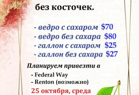 Вишня без кісток на замовлення