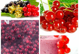 Свіжозаморожені ягоди на замовлення