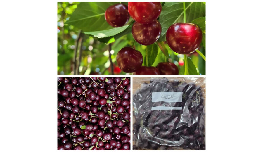 Свіжозаморожені ягоди на замовлення -