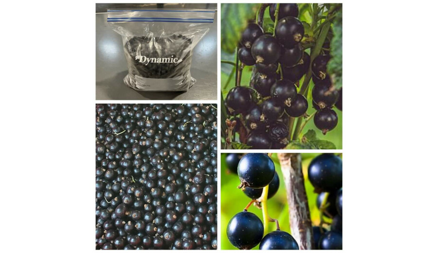 Свіжозаморожені ягоди на замовлення -