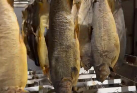 Форель райдужна гарячого копчення