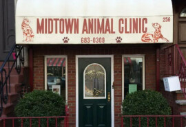Лікарня для тварин