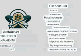 Озеленення прибудинкових територій