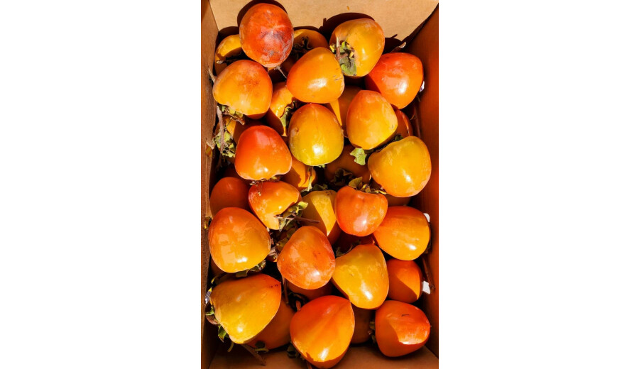 Свіжі фрукти -