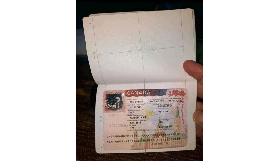 Kup wysokiej jakości paszporty, prawa jazdy, dowody osobiste. -