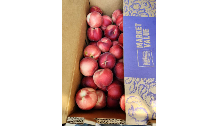 Черешня, абрикоси, персики на замовлення -