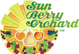 Ферма Sun Berry Orchard — ідеальне місце для відвідування, якщо вам нравятся свіжі та органічно вирощені продукти.