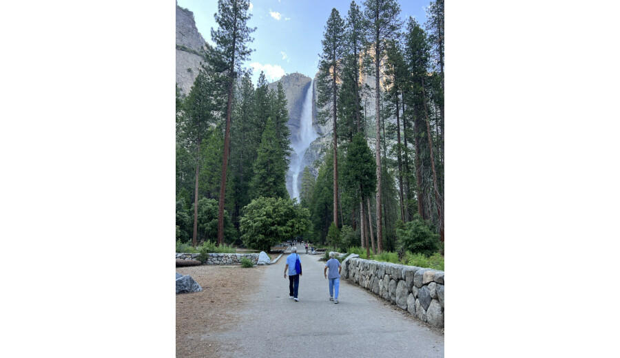 Індивідуальні Camping/Hiking тури для 3-4 осіб в Yosemite National Park! -