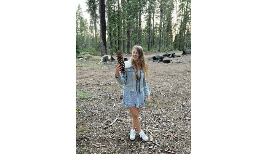 Індивідуальні Camping/Hiking тури для 3-4 осіб в Yosemite National Park! -