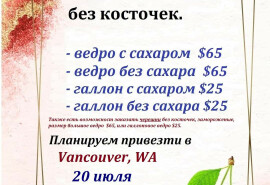 Вишня без кісток на замовлення