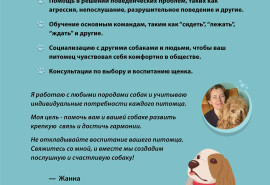 Тренування та виховання собак